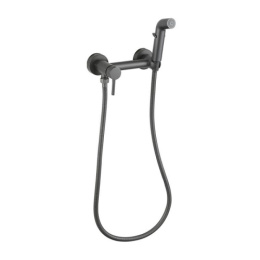 Смеситель с гигиеническим душем Frud R7503-9 Frud 42888
