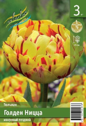 Тюльпан Голден Ницца  2шт. Эконом Colorline