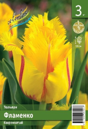 Тюльпан Фламенко  3шт. Эконом Colorline