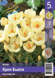 Крокус Крем Бьюти  5шт. Эконом Colorline