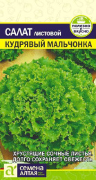 Салат листовой Кудрявый мальчонка 0,5г цветной пакет Семена Алтая