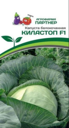 Капуста б/к Киластоп F1 0,1г для хранения цветной пакет Партнер