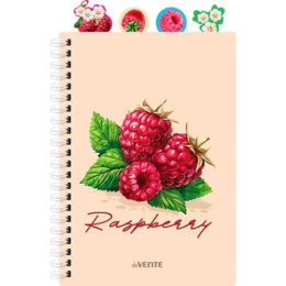 Тетрадь  80 листов Devente Fruits Raspberry, с разделителями, пластиковая обложка, гребень 2059503