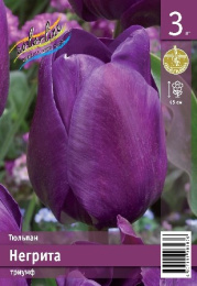 Тюльпан Негрита  3шт. Эконом Colorline