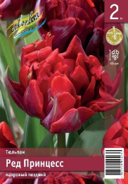 Тюльпан Ред Принцесс  2шт. Эконом Colorline
