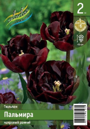 Тюльпан Пальмира  2шт. Эконом Colorline
