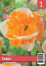 Нарцисс Свирл 1шт. Эконом Colorline