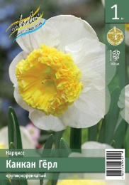 Нарцисс Канкан Гёрл 1шт. Эконом Colorline