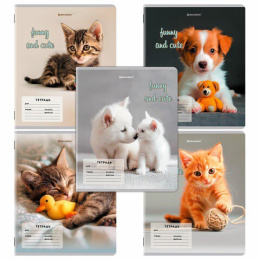 Тетрадь  12 листов косая линейка Brauberg Cats and Dogs 107288
