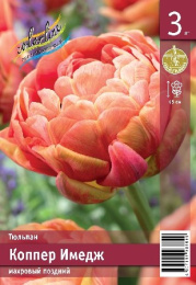 Тюльпан Коппер Имедж  3шт. Эконом Colorline