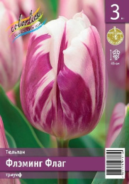 Тюльпан Флэминг Флаг  3шт. Эконом Colorline