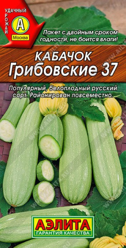 Кабачок Грибовские 37   2г цветной пакет Аэлита