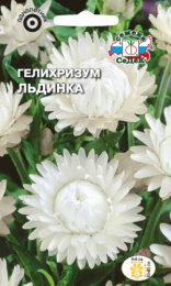 Гелихризум Льдинка белый 0,2г цветной пакет Седек