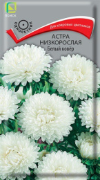 Астра Белый ковер низкорослая 0,2г цветной пакет Поиск
