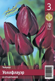 Тюльпан Уоллфлауэр  3шт. Эконом Colorline