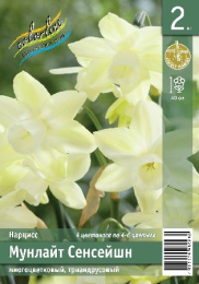 Нарцисс Мунлайт Сенсейшн 2шт. Эконом Colorline