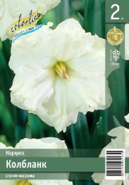 Нарцисс Колбланк 2шт. Эконом Colorline