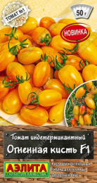 Томат Огненная кисть F1 10шт. цветной пакет Аэлита