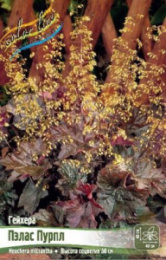 Гейхера Пэлас Пурпл 1шт. Colorline