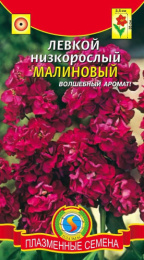 Левкой Малиновый низкорослый 0,1г цветной пакет Плазменные семена