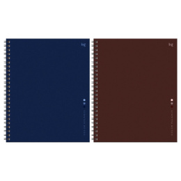 Тетрадь 120 листов BG Monocolor Balance, твердая обложка, гребень ТТ5ГР120_ЛГ 67197