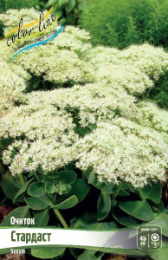 Очиток Стардаст 1шт. Colorline