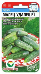 Огурец Малец-удалец F1 7шт. цветной пакет Сибирский сад