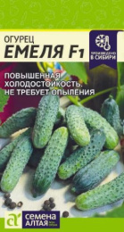 Огурец Емеля F1 5шт. цветной пакет Семена Алтая