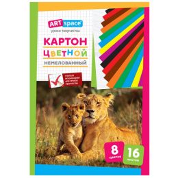 Картон цветной 16 листов  8 цветов А4 Artspace, немелованный, в папке НКН16-8_6961