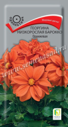 Георгина Барокко оранжевая низкорослая 0,1г цветной пакет Поиск