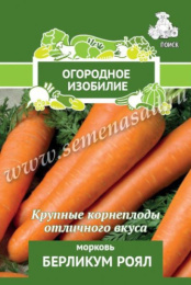 Морковь Берликум Роял  2г цветной пакет серия Огородное изобилие Поиск