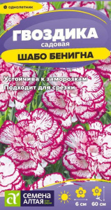 Гвоздика шабо Бенигна cадовая 0,05г цветной пакет Семена Алтая