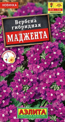 Вербена Маджента 10шт. цветной пакет Аэлита
