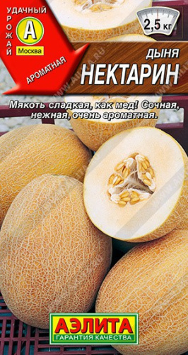 Дыня Нектарин 1г цветной пакет Аэлита