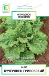 Салат полукочанный Кучерявец Грибовский 1г цветной пакет серия Огородное изобилие Поиск