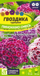 Гвоздика турецкая (бородатая) Пиноккио 0,1г цветной пакет Семена Алтая