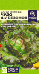 Салат кочанный Чудо 4-х сезонов 0,5г цветной пакет Семена Алтая