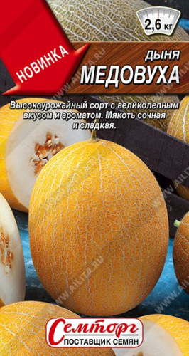 Дыня Медовуха 1г цветной пакет Аэлита