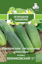 Огурец Вязниковский 37 0,5г цветной пакет серия Огородное изобилие Поиск