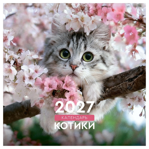 Календарь на скрепке 23х23 2027 год BG Котики 390943