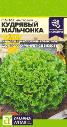 Салат листовой Кудрявый мальчонка 0,5г цветной пакет Семена Алтая