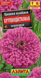 Цинния Крупноцветковая пурпурная 0,3г цветной пакет Аэлита 571123