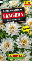 Астра Бамбина белоснежная 20шт. цветной пакет Аэлита