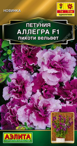 Петуния Аллегра пикоти вельвет F1 полумахровая 5шт. цветной пакет Аэлита