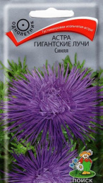 Астра Гигантские Лучи синяя 0,3г цветной пакет Поиск