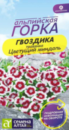 Гвоздика травянка Цветущий миндаль 0,05г цветной пакет серия Альпийская горка Семена Алтая