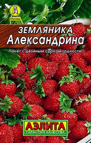 Земляника Александрина 0,03г цветной пакет серия Лидер Аэлита