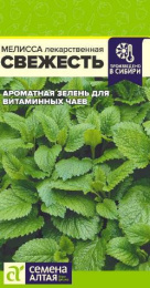 Мелисса лекарственная Свежесть 0,1г цветной пакет Семена Алтая